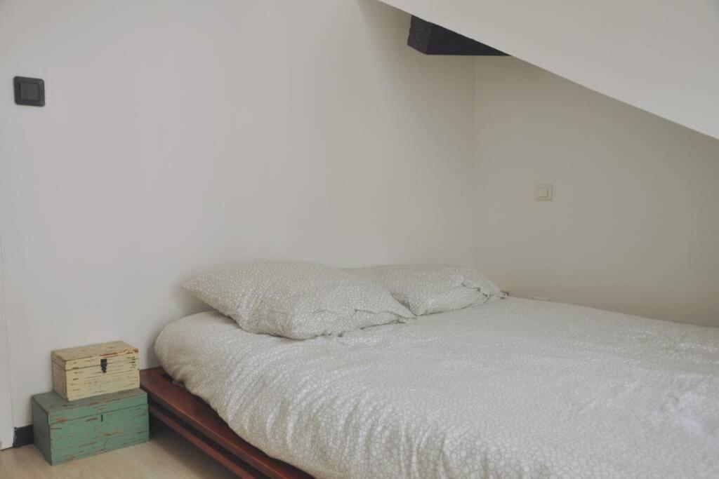 Duplex Avec Belle Terasse Au Centre De Bayonne Leilighet Eksteriør bilde